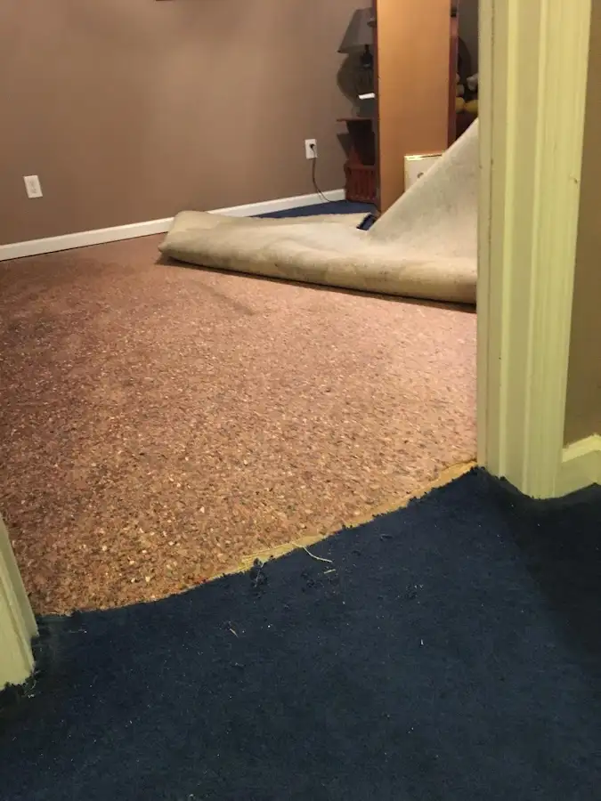 Carpet pad removal revealing water damage during Drying & Dehumidification in Pelham Manor