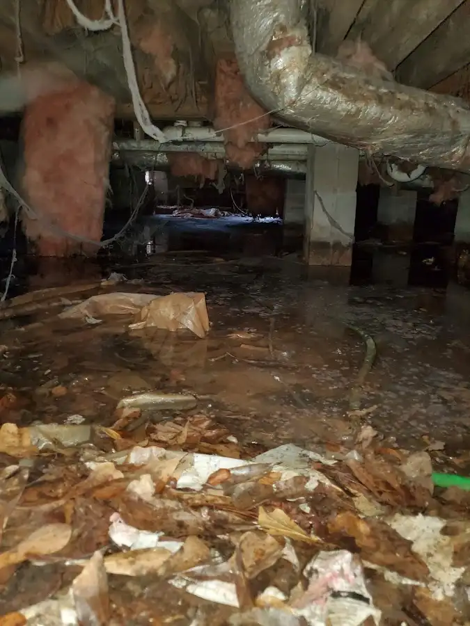Crawl space flood assessment for Commercial Water Damage Restoration in Pelham Manor
