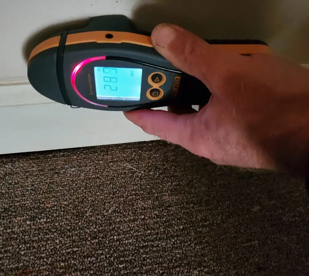Moisture detection at baseboard during Storm Damage Restoration in Pelham Manor